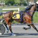 Kevin Switzer, Jr wins five at Bangor Raceway