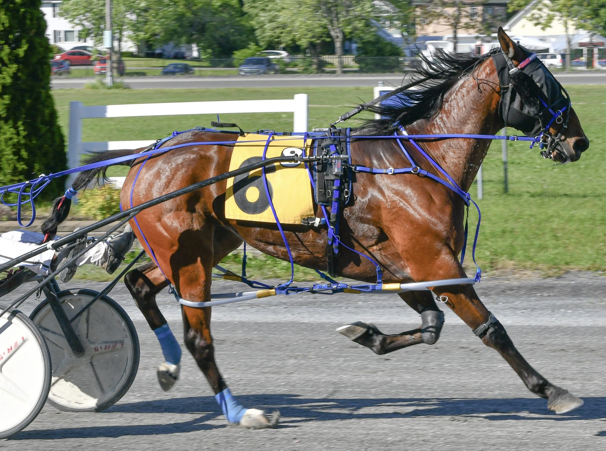 Kevin Switzer, Jr Wins Five At Bangor Raceway - Harnesslink