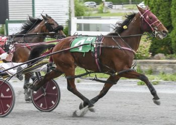 Nineteenth Man becomes a first stringer at Bangor