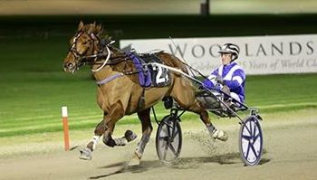 Dream Of You a big chance despite handicap