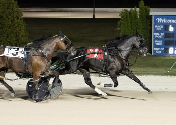 E L Gladiator smashes career best