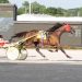 Flemsteen captures Dayton feature