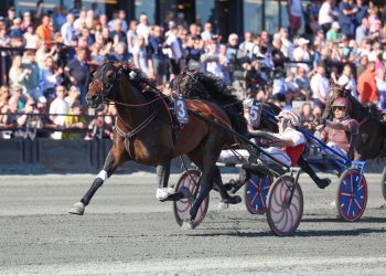 Hades de Vandel wins Oslo Grand Prix