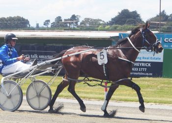 Invercargill Preview + pic