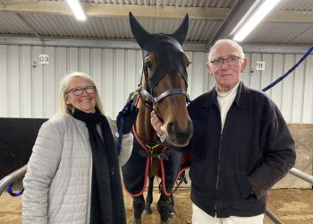 Trotter one day – winning pacer the next!
