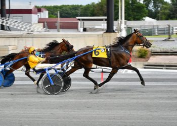 Incaseyoudidn’tknow wins again in Open