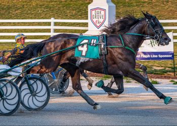 It’s A Herbie gets up for Oak Grove victory