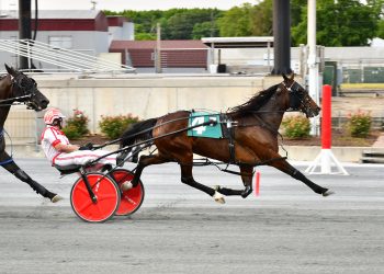 Mcstoned Again high and mighty at Plainridge