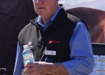 Leading studmaster goes back to the future