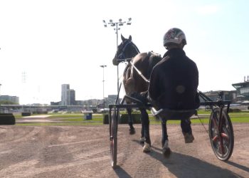 Just Believe ready for battle with Swedish star