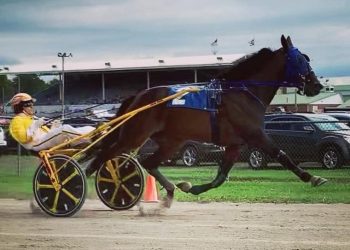 Justin Irvine on The Michigan Mighty Show