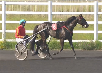 French horses battle in 310,000€ worth of groupe racing