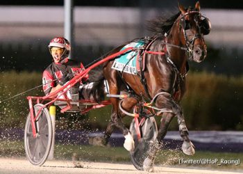 Teague seeing double with Lather Up juveniles