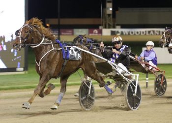 Second Rowe Cup winner by Love You