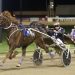 Rowe Cup champ set for return at Addington tonight 1 Second Rowe Cup winner by Love You