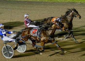 Ex-Kiwi pacer wins the $106,000 Redcliffe Gold Cup