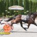 First-over grind takes Tioga feature pace