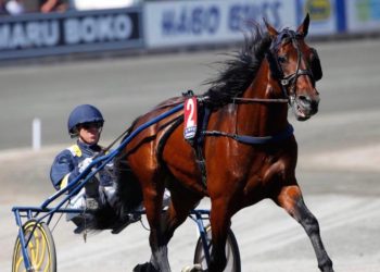 Gillespie’s Volstead filly the fastest NA 2YO trotter to date