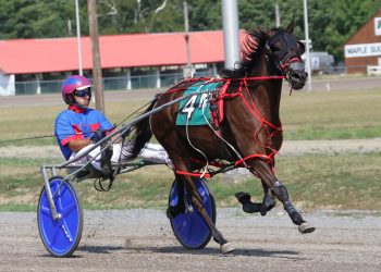 Pickmepickme leads Maine Sire Stakes