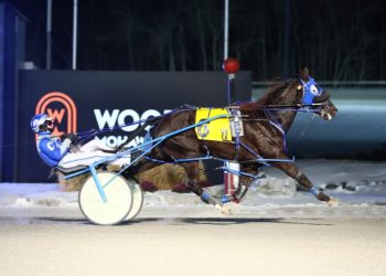 Respect Our Flag reaches $400,000