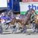Roscoe wins again, Juanita dreams of Group 1 glory