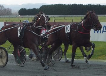 Winter Reward to Gronkowski