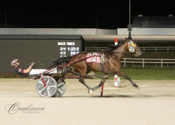 Wrenn sweeps co-features at MGM Northfield Park