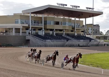 Next Generation slots are up for auction