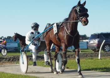 Sly Tricks wins at start 85