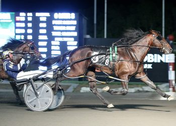 Svanstedt looking forward to his pacer’s debut