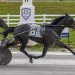 Wrenn Stable does well in Kentucky Proud Series