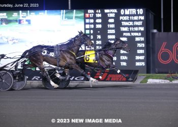 Sunshineinmypocket produces career-best effort to upset in Pop-up Final