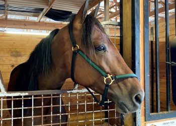 Trendy Teen getting back in his groove