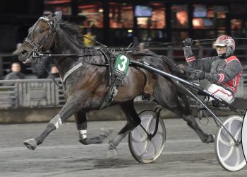 Shoeless Vagabond Bi