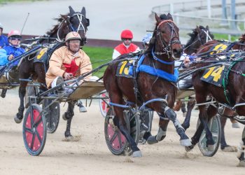 Winnyzback and Faulks go back a long way