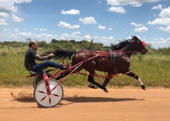 Former UFC lightweight Champion eyeing a return to the track