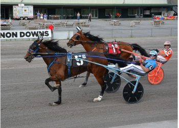 Affrunti & Miller take Vernon features