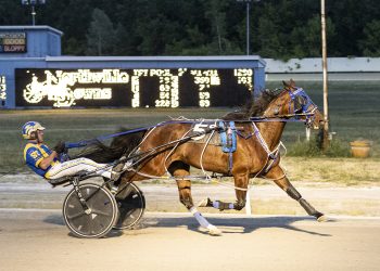 Delightful Summer shines at Northville