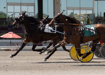 Late challengers can’t catch Four Wide N Flyin’