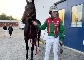 “Harry” does us proud – you better believe it!