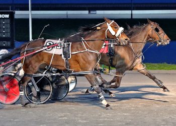Buckeye Stallion Series action at Scioto Downs