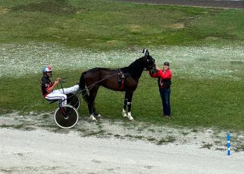 What Cheer hosts kickoff of Iowa Sired