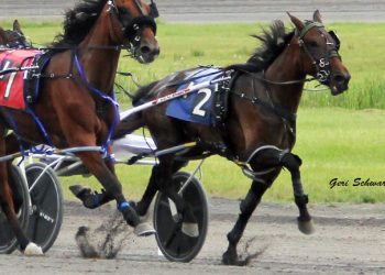 Bartlett and Huntsville star at Monticello Raceway