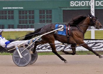 Orphan foal wins at Scioto Downs
