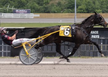 Last Bet is first to the wire in Northville Open