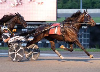 Longshot pays off as wagering favorite