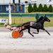 Favorites dominate Buffalo Raceway card 2 Favorites dominate Buffalo Raceway card