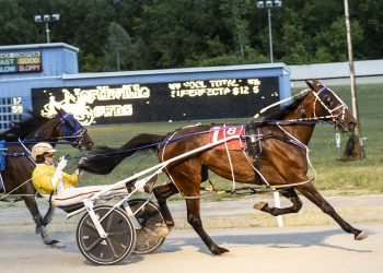 Coqui Coqui stars at Northville