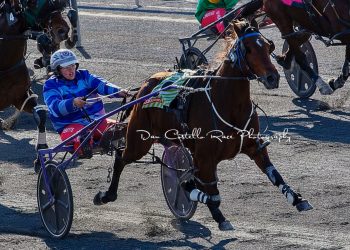 10yo Grand Dam still racing – and winning!