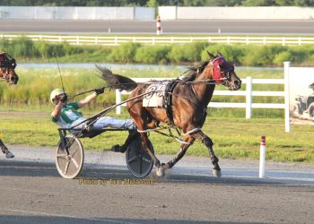 Dandy’s Evrlasting goes down the road in Mares Open